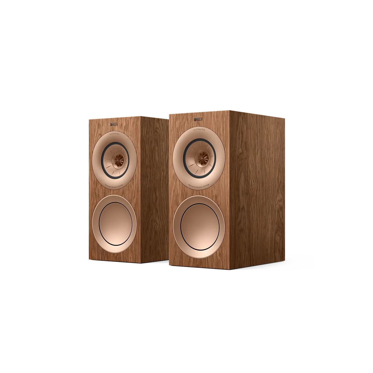 Kef-R3-Meta-nogal