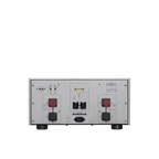 Luxman M-10X