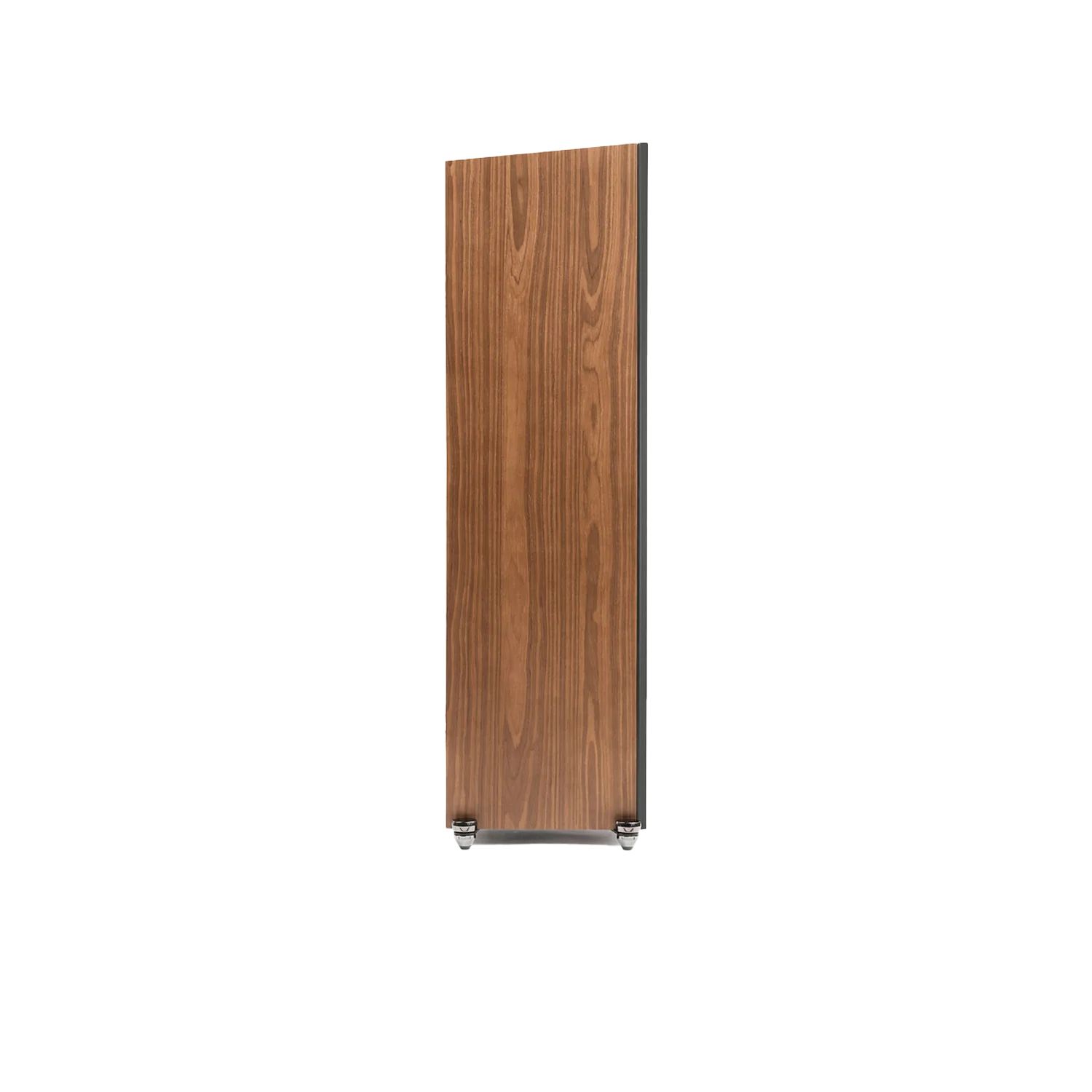 Martin Logan XT F100
