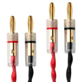 Pro-JectConnectitLSE
