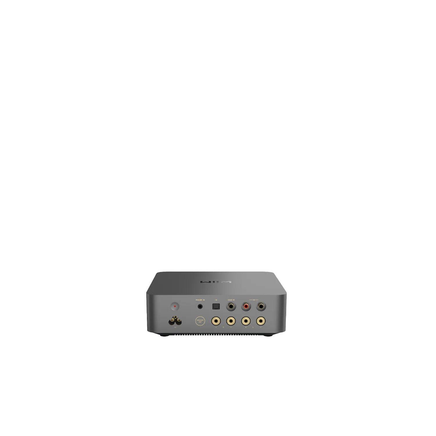 Wiim Vibelink Amp