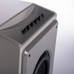 Wilson Audio Submerge | Altavoz Subwoofer Activo High-end