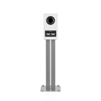 bowers-wilkins-607s3-roble-rear