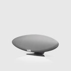 bwzeppelinasidegris