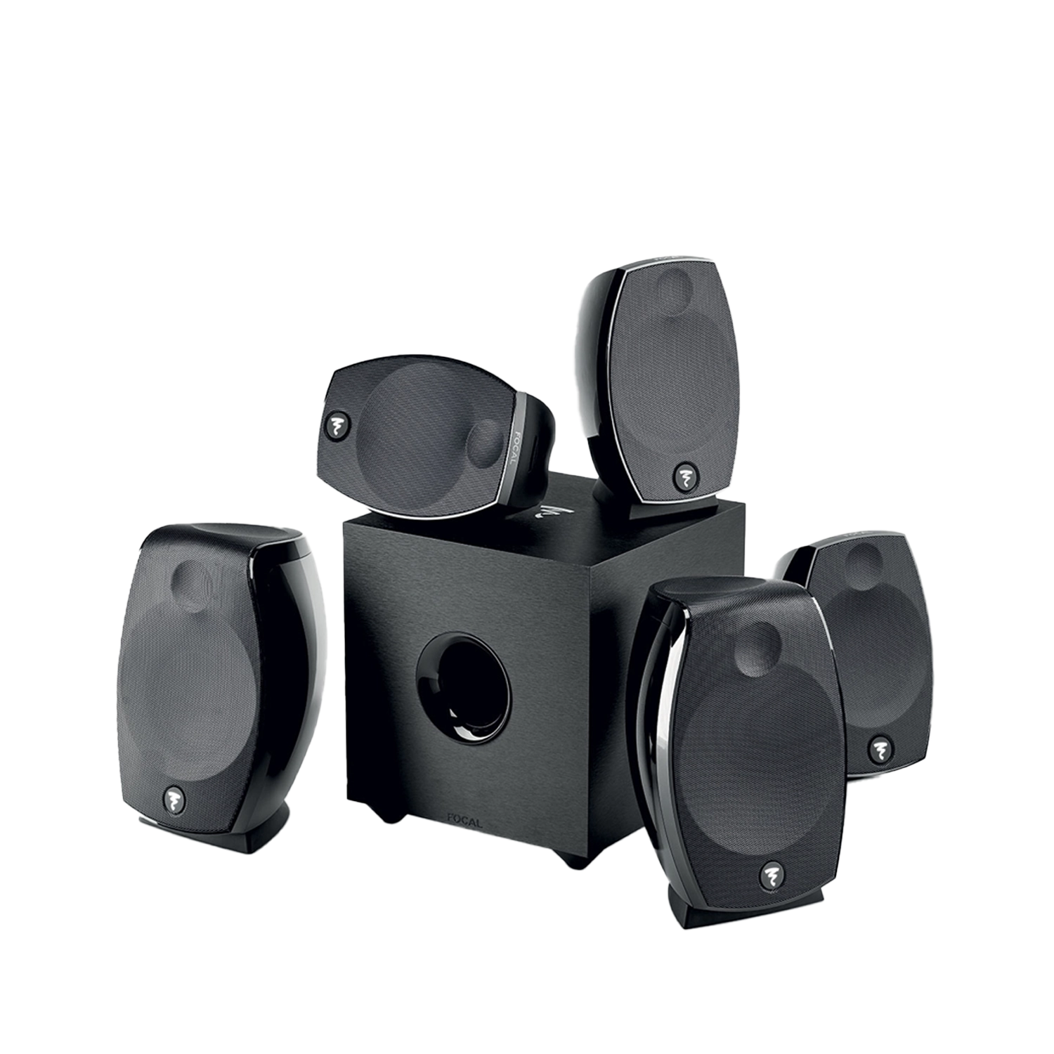 focal-sib-evo-5-1-2