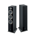 focal-theva-n2-negro