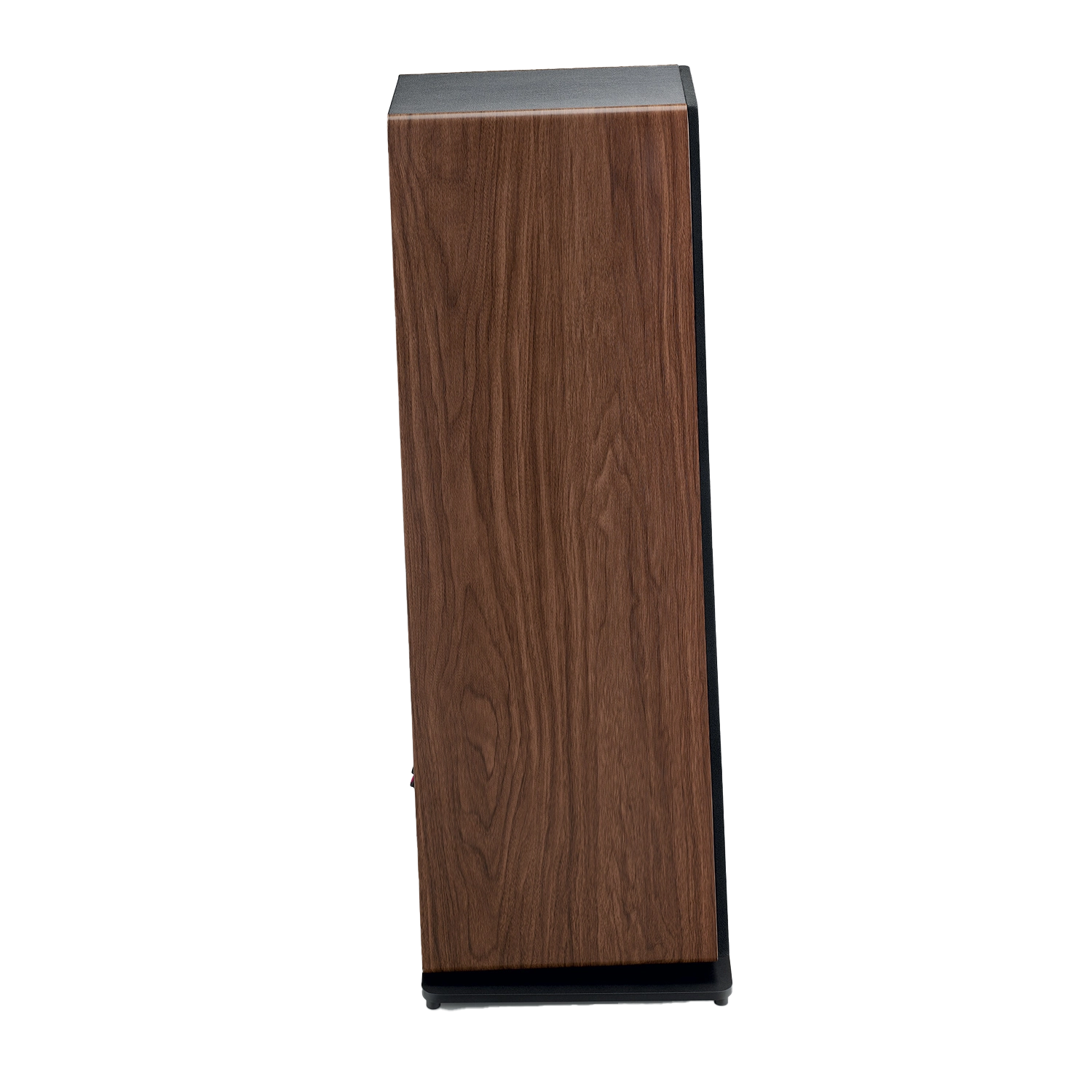 focal-vestia-n2-dark-wood-aside