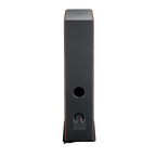 focal-vestia-n2-dark-wood-rear