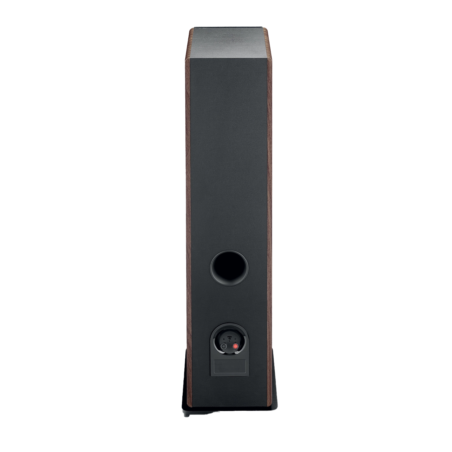 focal-vestia-n2-dark-wood-rear