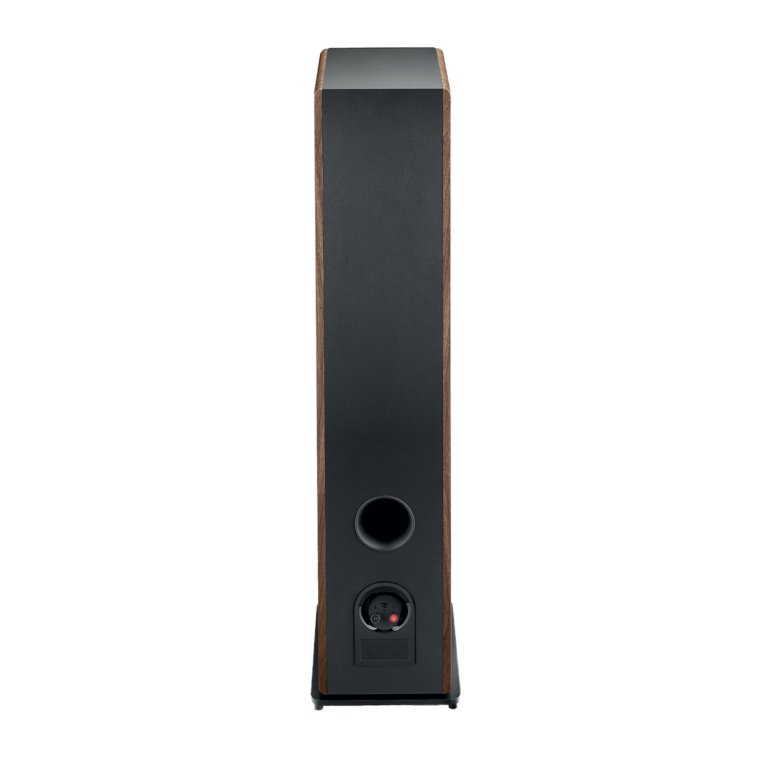 focal-vestia-n3-dark-wood-rear