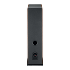 focal-vestia-n4-ldark-wood-rear