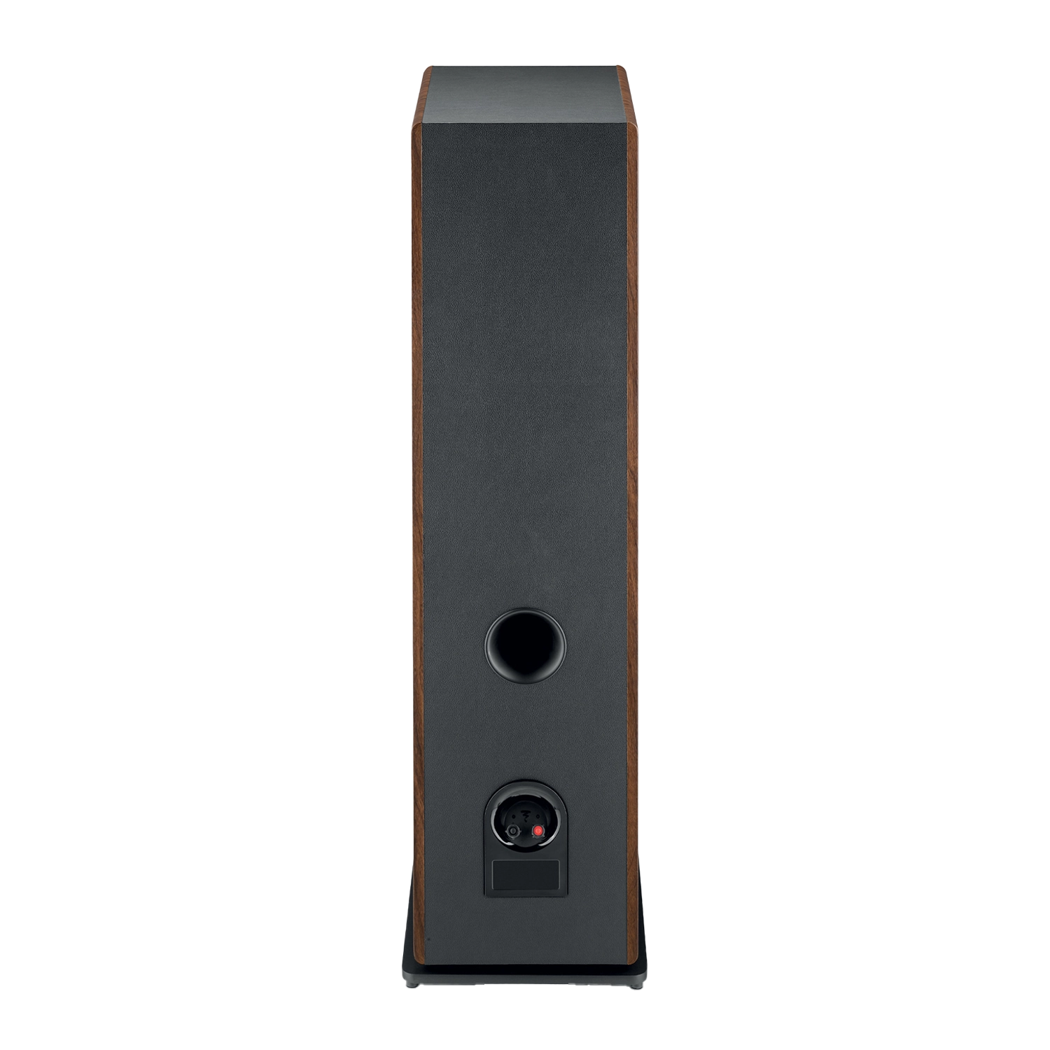 focal-vestia-n4-ldark-wood-rear