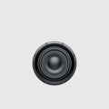 focal littora icw10 sub