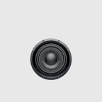 focal littora icw10 sub