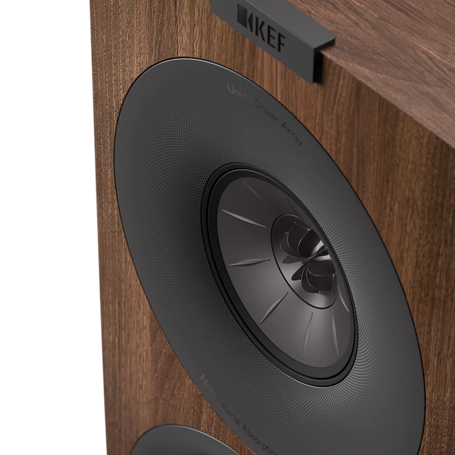 kef-q-concerto-meta-nogal-detalle