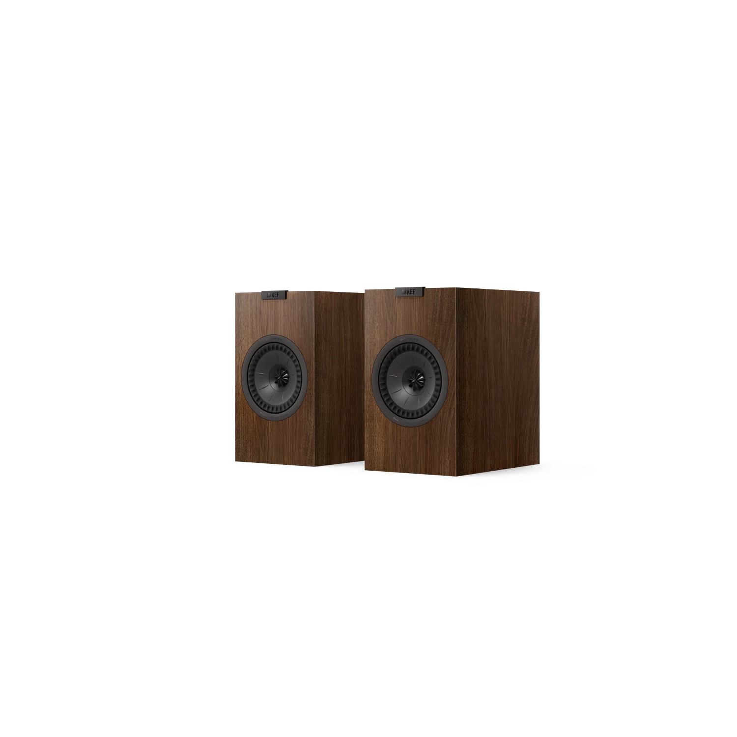 kef-q1-meta-nogal