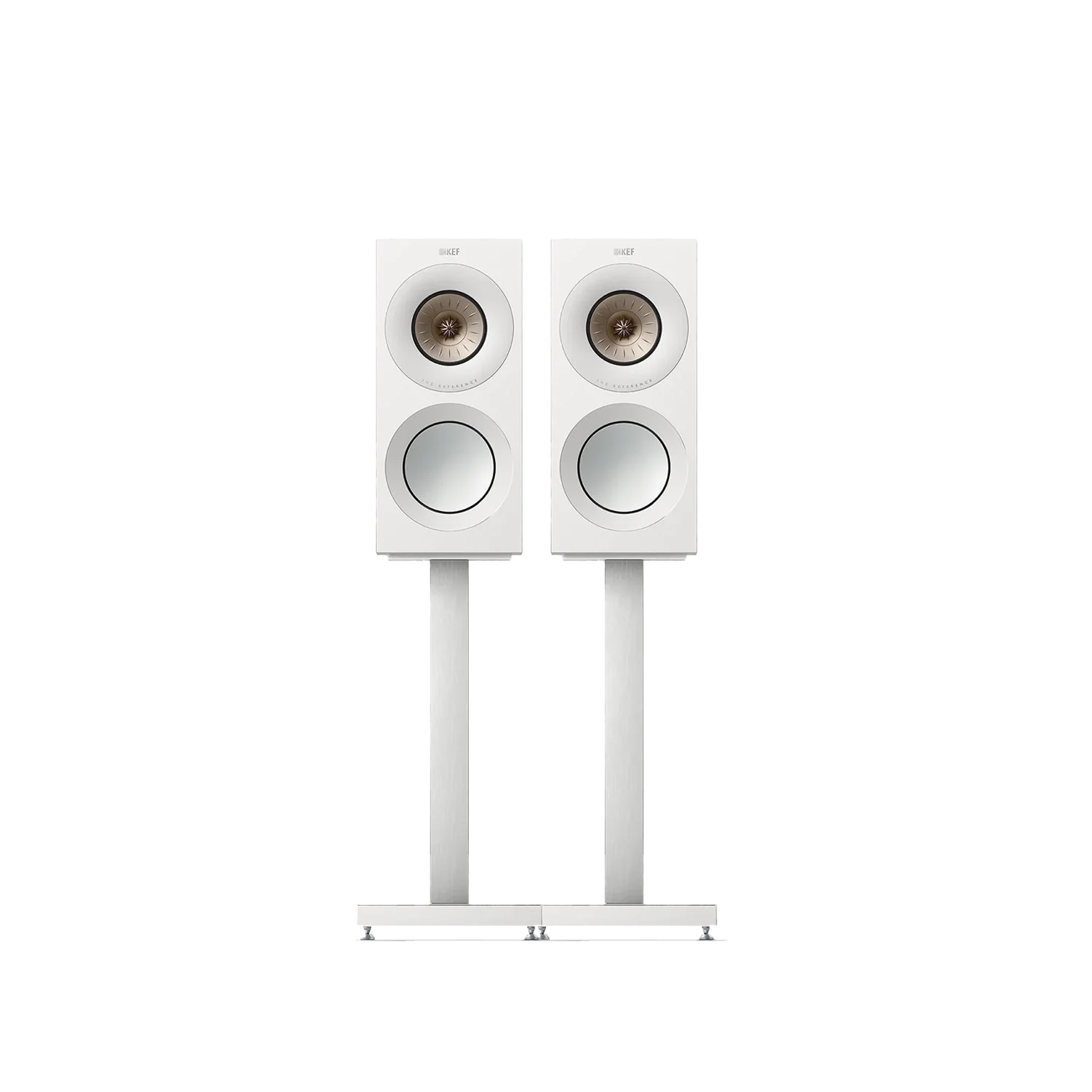 kef reference meta 1 pareja