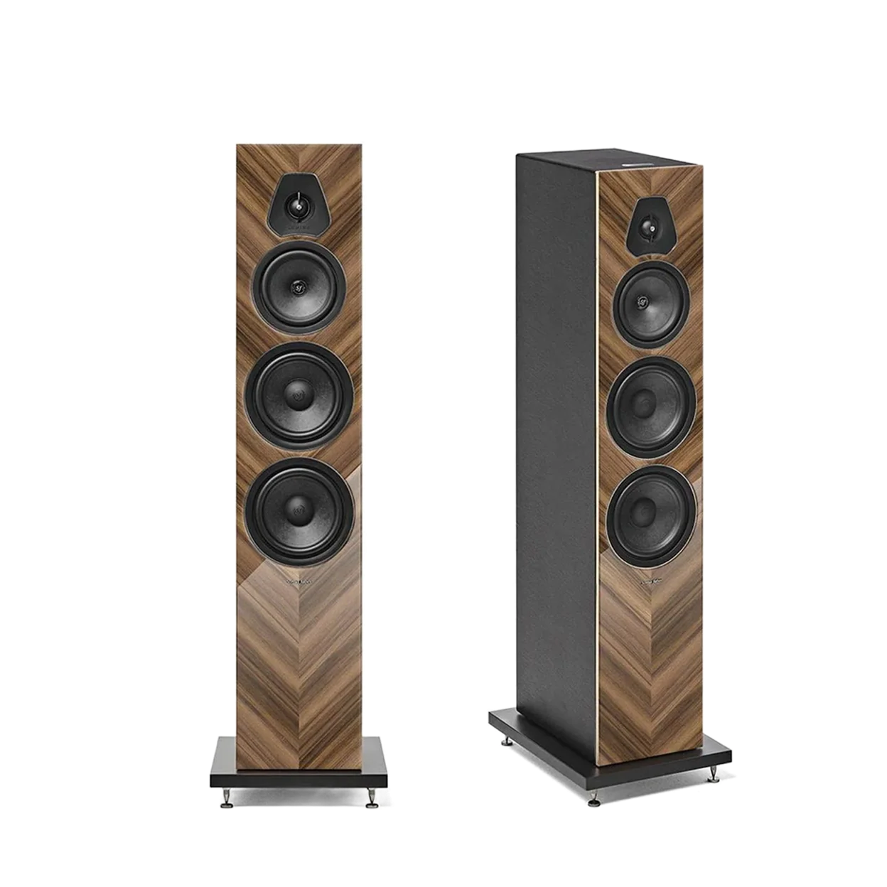 sonus faber lumina v amator