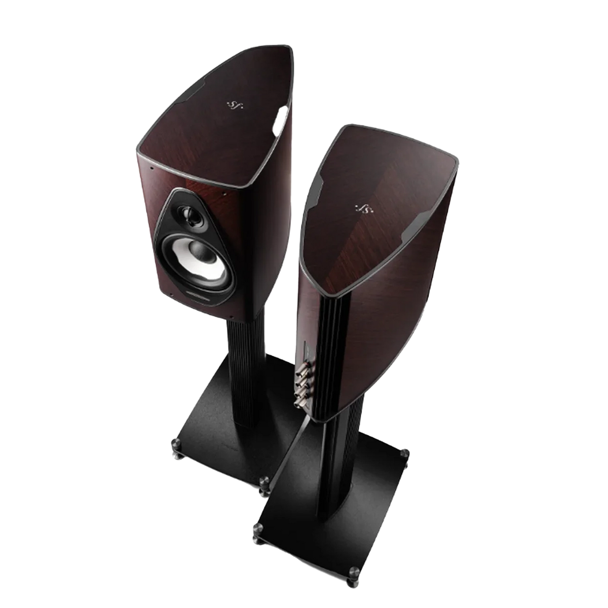 olympica-I-g3-wenge-top
