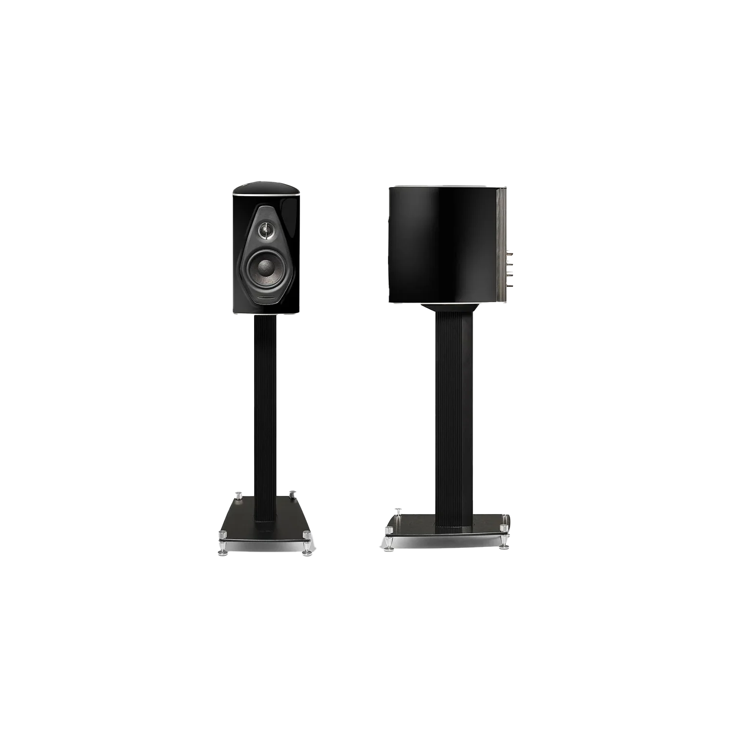 Sonus Faber Olympic Nova I | Altavoz HiFi