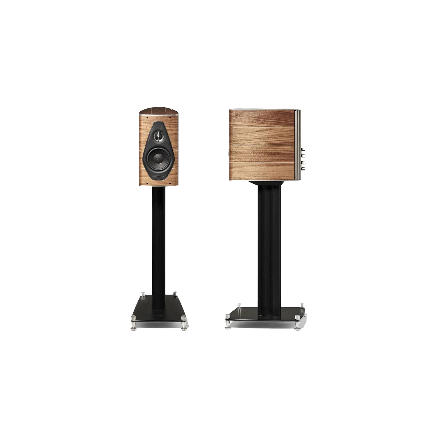 Sonus Faber Olympic Nova I | Altavoz HiFi