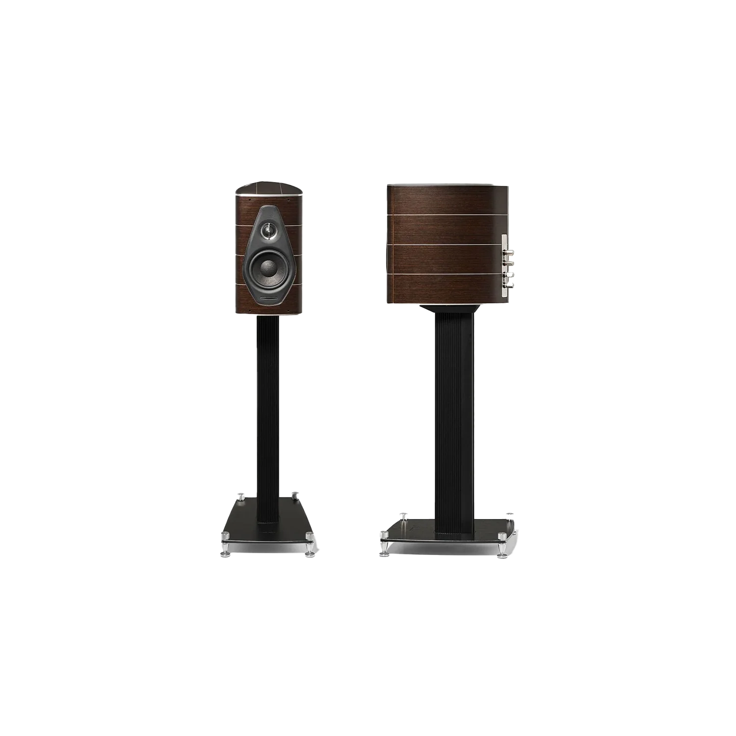 Sonus Faber Olympic Nova I | Altavoz HiFi