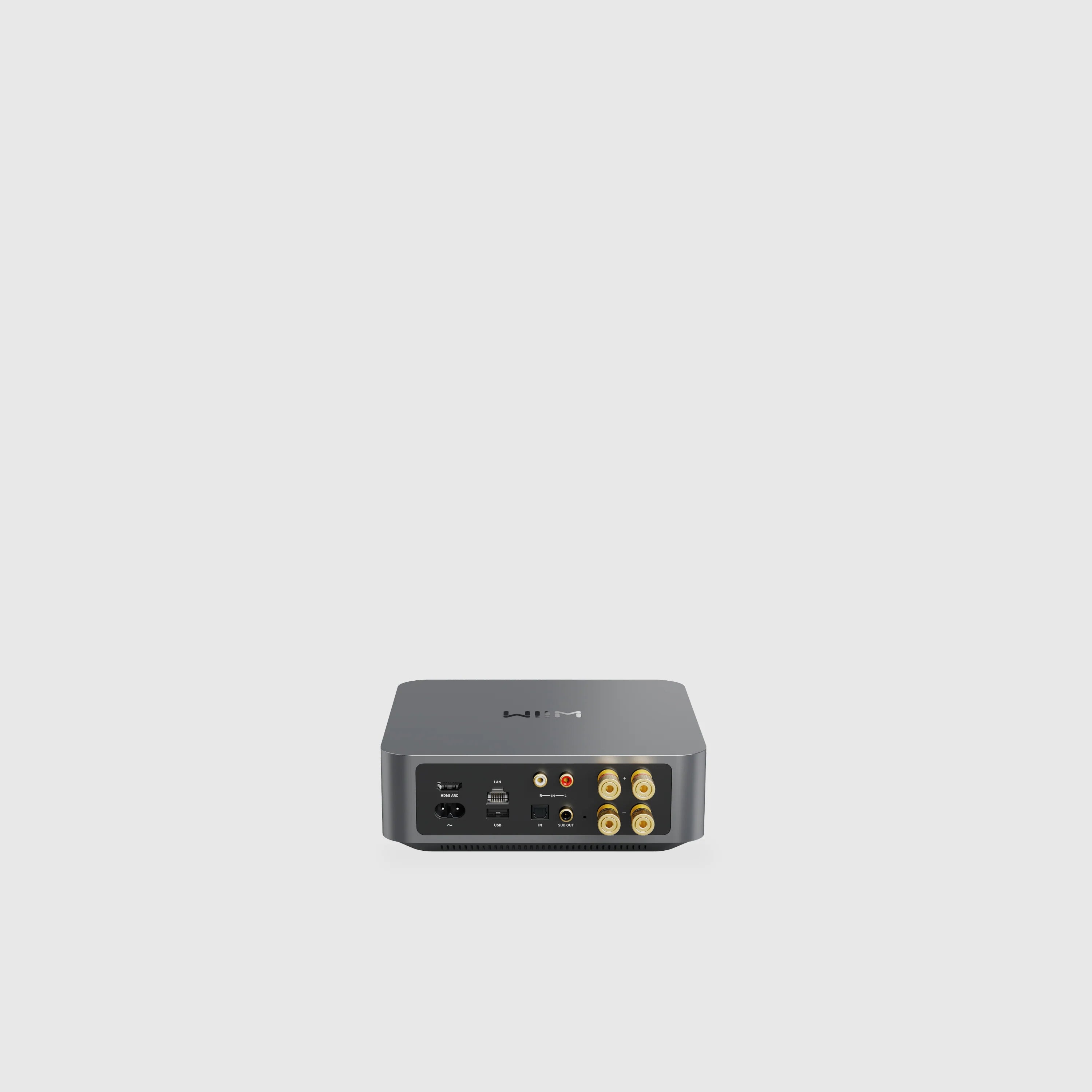 Wiim Amp Pro | Streamer con amplificación