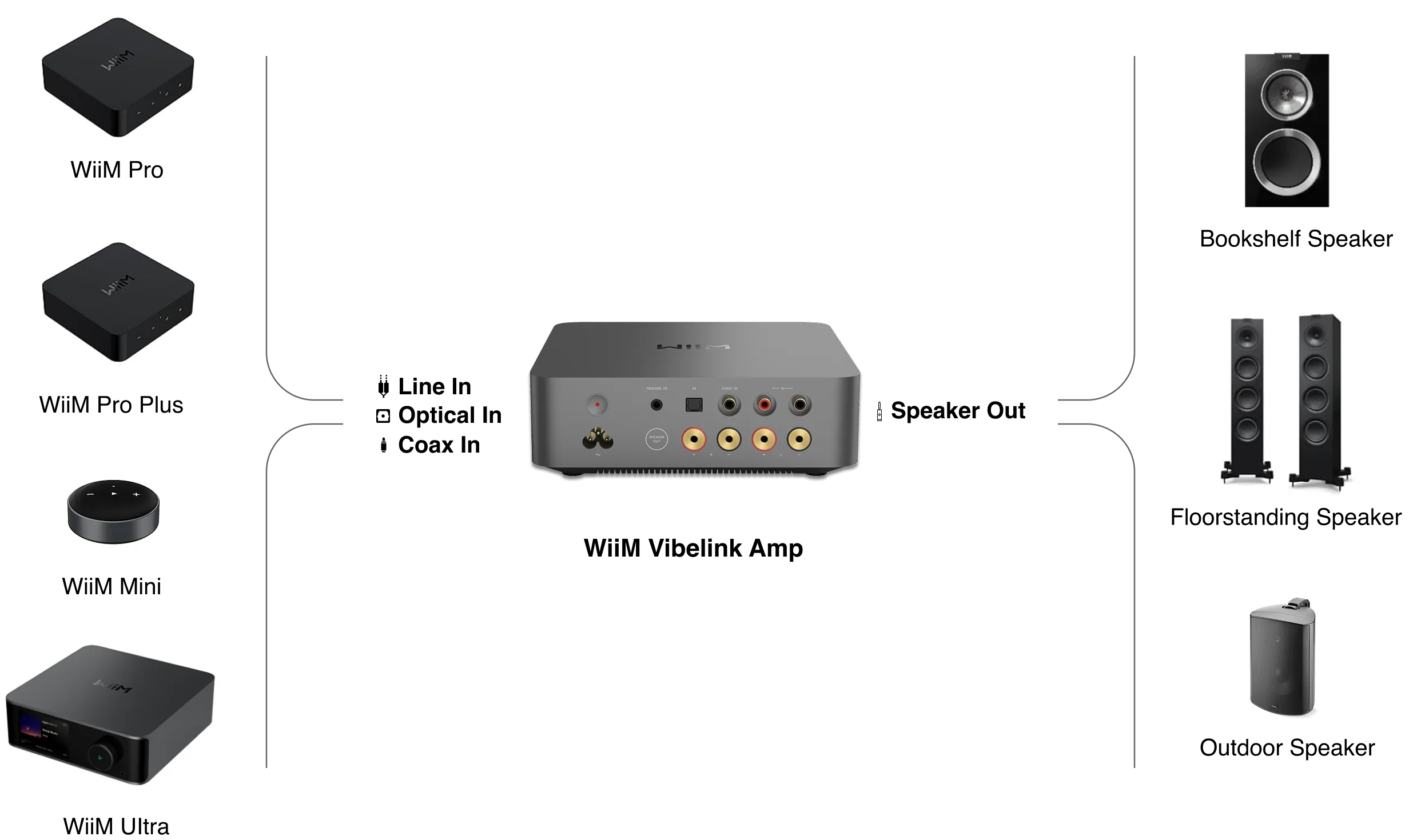 wiim vibelink amp conexiones