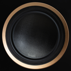 Martin Logan Motion XT C100 | Altavoz central